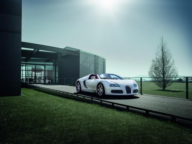 Sẽ có Bugatti Veyron Grand Sport Wei Long “bản Rắn” 1