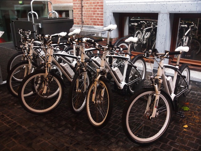 Cruise e-Bike: Xe đạp điện cao cấp của BMW 6