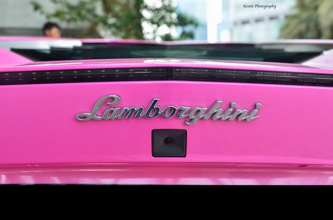 Lamborghini Aventador nổi bần bật với màu hồng sen 13