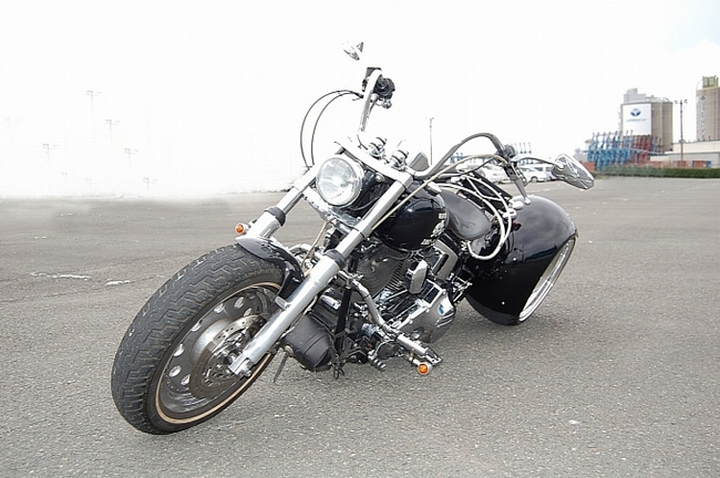 KSG The Future - Harley Davidson ba bánh cực chất 7