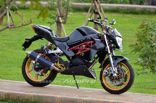 Honda Tiger Revo độ theo phong c&aacute;ch Ducati Monster 2