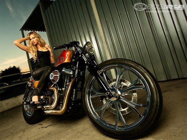 Vẻ đẹp thuần Mỹ bên Harley-Davidson 12