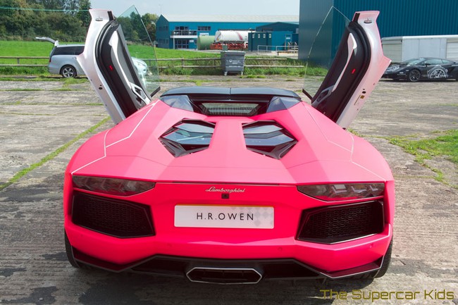 Lamborghini Aventador Roadster "nổi bần bật" với bộ cánh hồng rực 4