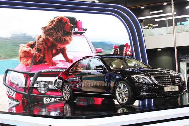 VMS 2013: Chó ngao Tây Tạng xuất hiện tại triển lãm ôtô 4