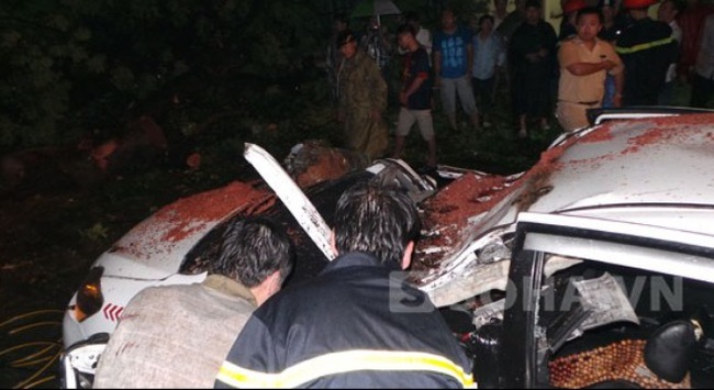 Dừng đèn đỏ, tài xế taxi tử vong tại chỗ vì cây đổ trúng xe 1