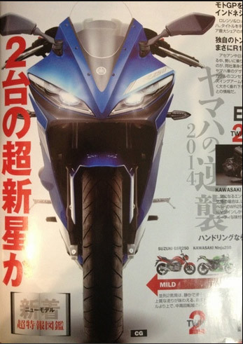 Thêm hình ảnh của Yamaha YZF-R250 2