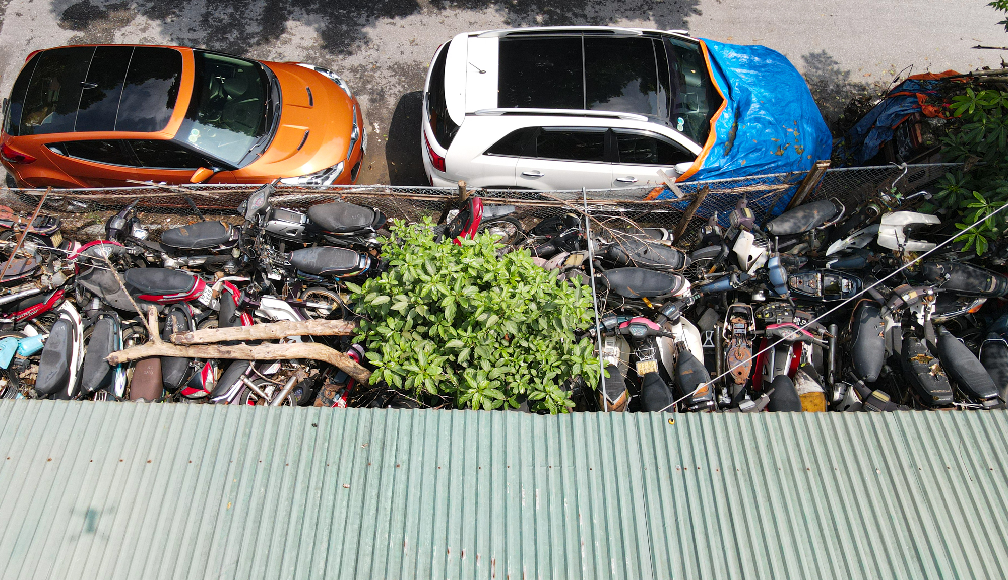 Ảnh, clip: Hàng nghìn chiếc xe máy phơi nắng, dây leo quấn chằng chịt tại bãi trông giữ xe vi phạm ở Hà Nội - Ảnh 8.