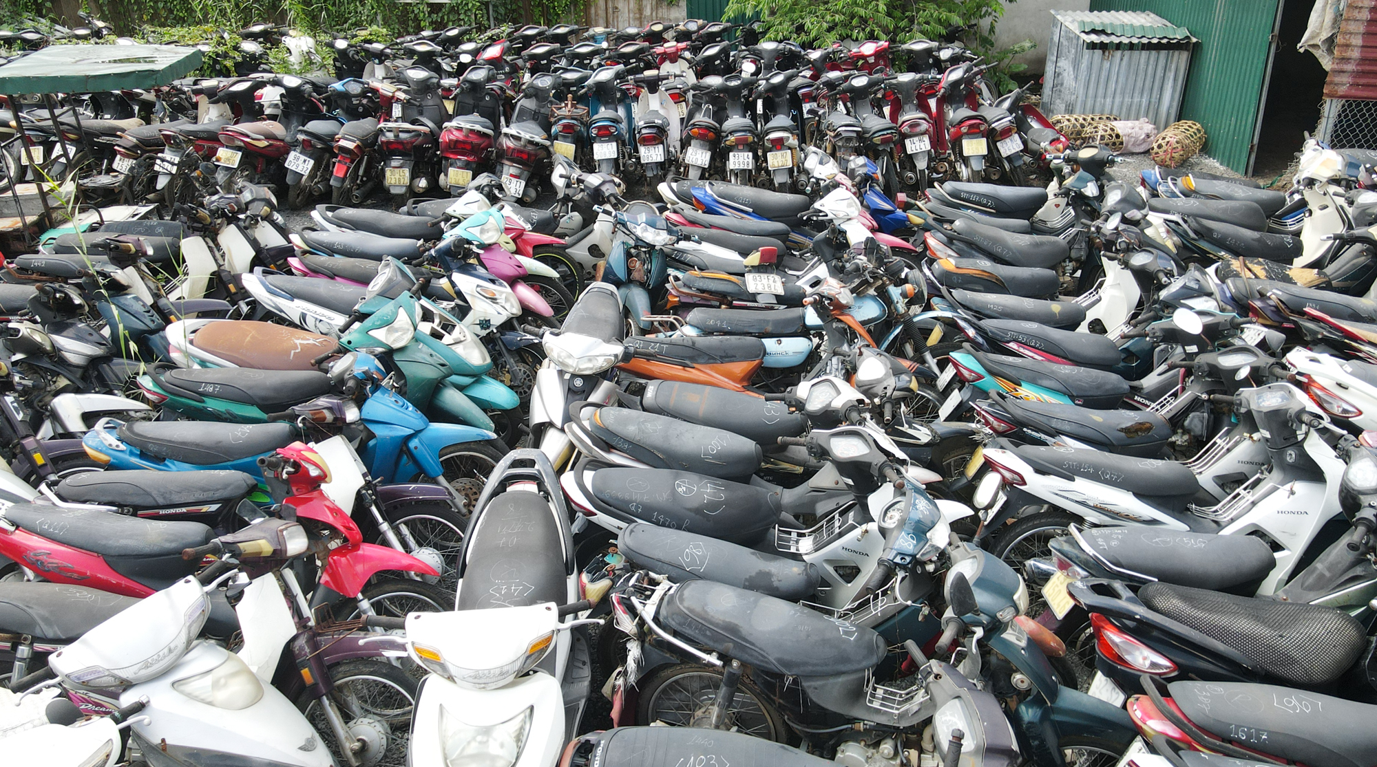 Ảnh, clip: Hàng nghìn chiếc xe máy phơi nắng, dây leo quấn chằng chịt tại bãi trông giữ xe vi phạm ở Hà Nội - Ảnh 7.