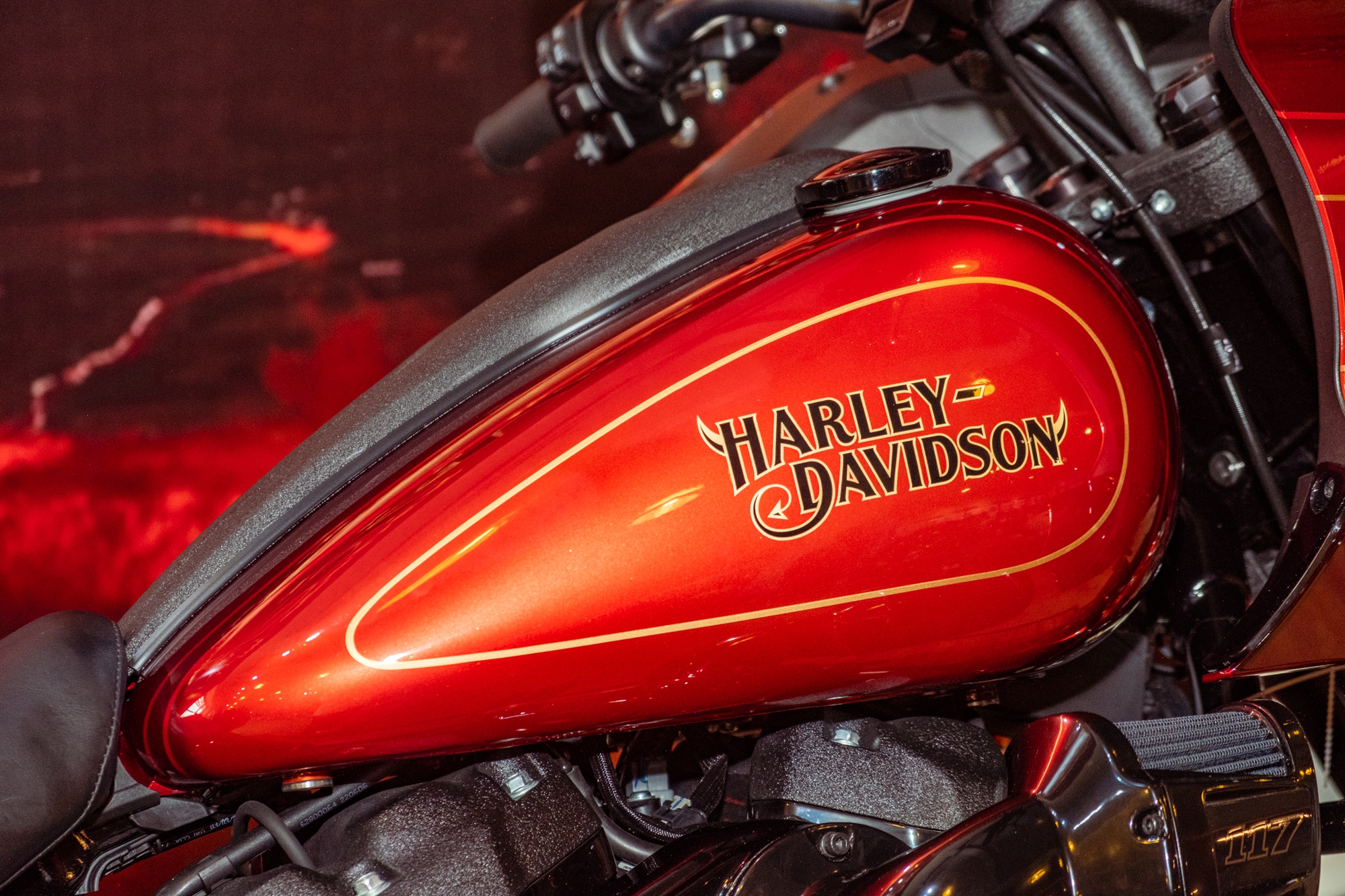 Chiêm ngưỡng lớp sơn 200 triệu đồng trên Harley-Davidson - Ảnh 4.