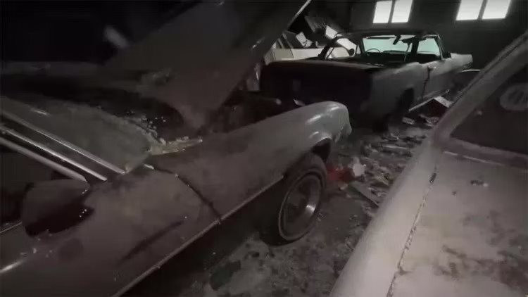 40 năm sau khi bị bỏ hoang, bộ sưu tập xe Chevrolet, Mercury ngập trong cát bụi: Chủ nhân là người trúng xổ số nhưng bị phá sản - Ảnh 2.