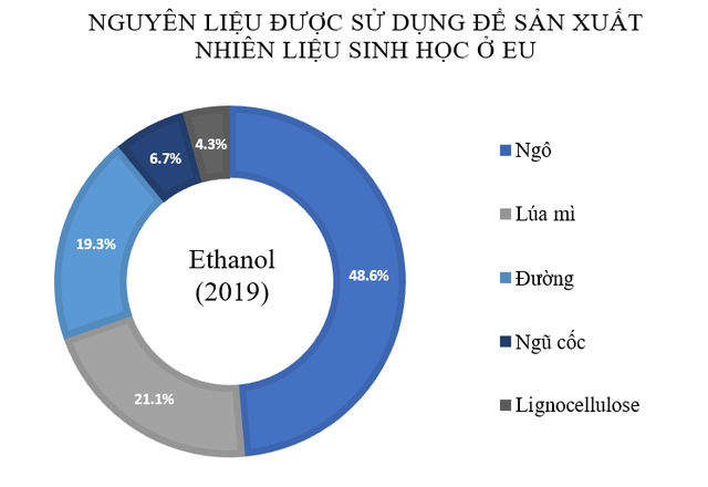 Nghịch lý lương thực dùng để nuôi ... ô tô  - Ảnh 3.