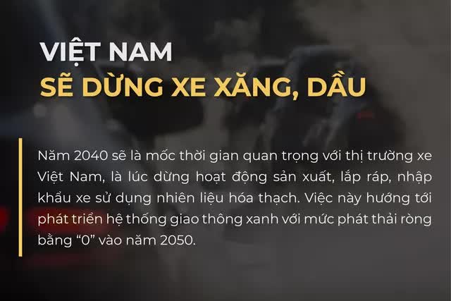 Việt Nam đặt thời hạn dừng sản xuất, lắp ráp, nhập khẩu xe sử dụng nhiên liệu hóa thạch - Ảnh 1.