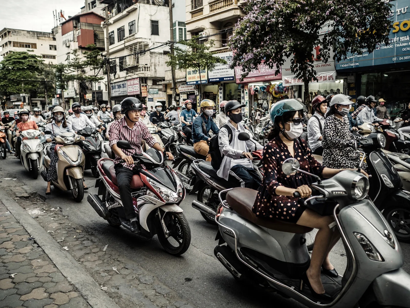 Việt Nam &quot;phá đảo&quot; về tiêu thụ xe trong ĐNÁ năm 2023: Nhiều gấp 30 lần Singapore, vượt xa Indonesia, Thái Lan- Ảnh 2.