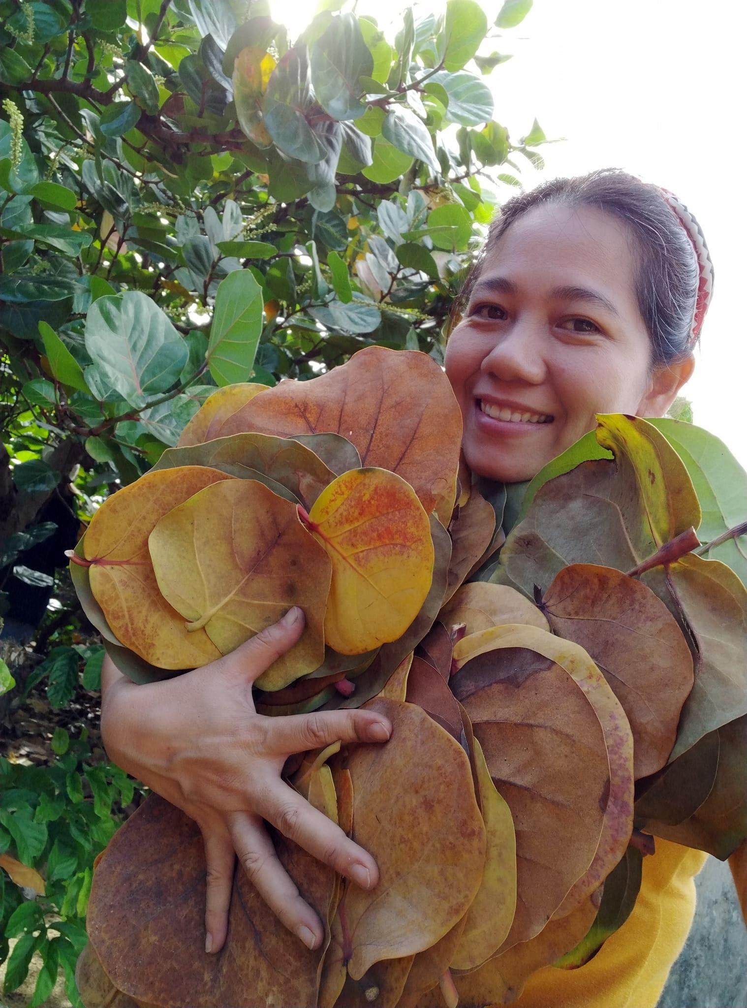 Chủ homestay đi gom lá nho biển giá 200 đồng, làm thành thứ đắt gấp mấy lần vẫn lỗ: Vì hai chữ “Hy Vọng” - Ảnh 14. Chủ homestay đi gom lá nho biển giá 200 đồng, làm thành thứ đắt gấp mấy lần vẫn lỗ: Vì hai chữ “Hy Vọng” - Ảnh 14.