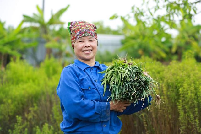 Từ sữa Ông Linh đến dự án tiên phong thúc đẩy hoạt động sản xuất nông nghiệp thân thiện với môi trường - Ảnh 3.