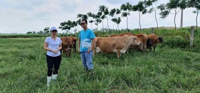 Từ sữa Ông Linh đến dự án tiên phong thúc đẩy hoạt động sản xuất nông nghiệp thân thiện với môi trường - Ảnh 2.