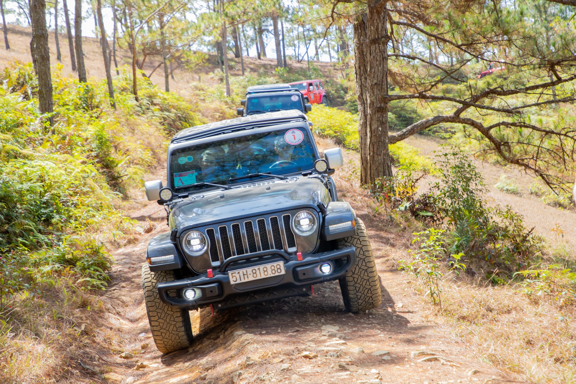 Đoàn xe Jeep 'phá đảo' cung đường TP.HCM - Đà Lạt: Đi trên đồi núi dễ như trên quốc lộ - Ảnh 4.