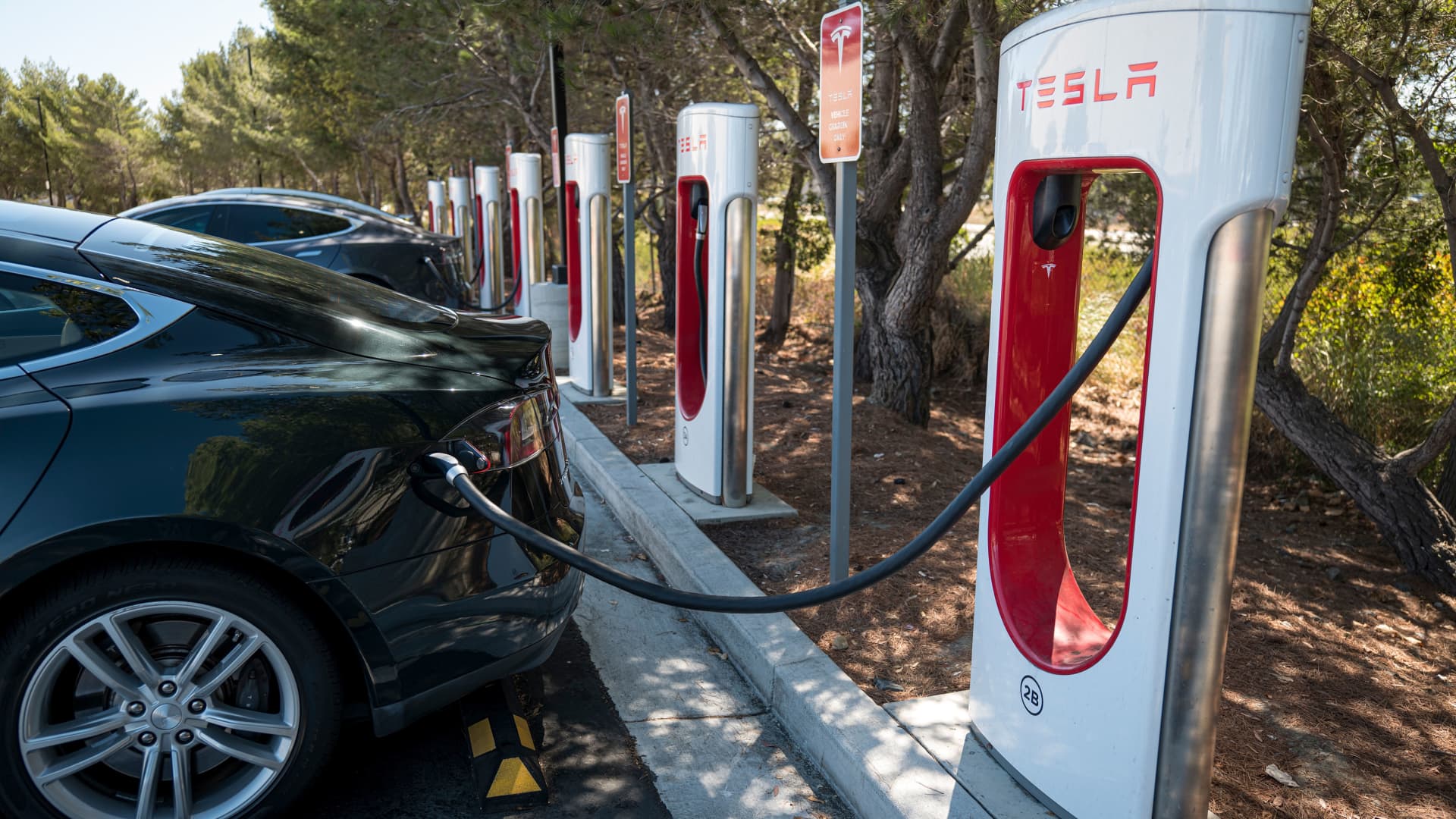 Xe điện ở Mỹ lên ngôi: VinFast thuận lợi, nhưng Tesla vừa mang đến chướng ngại cực lớn - Ảnh 1.