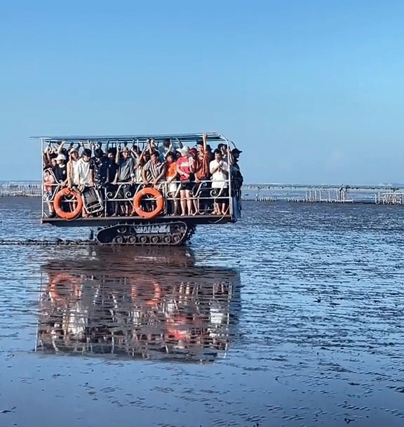 Xuất hiện phương tiện "lạ" chở người đi biển vô cực Thái Bình, du khách không còn phải khổ sở lội bùn nữa - Ảnh 3.