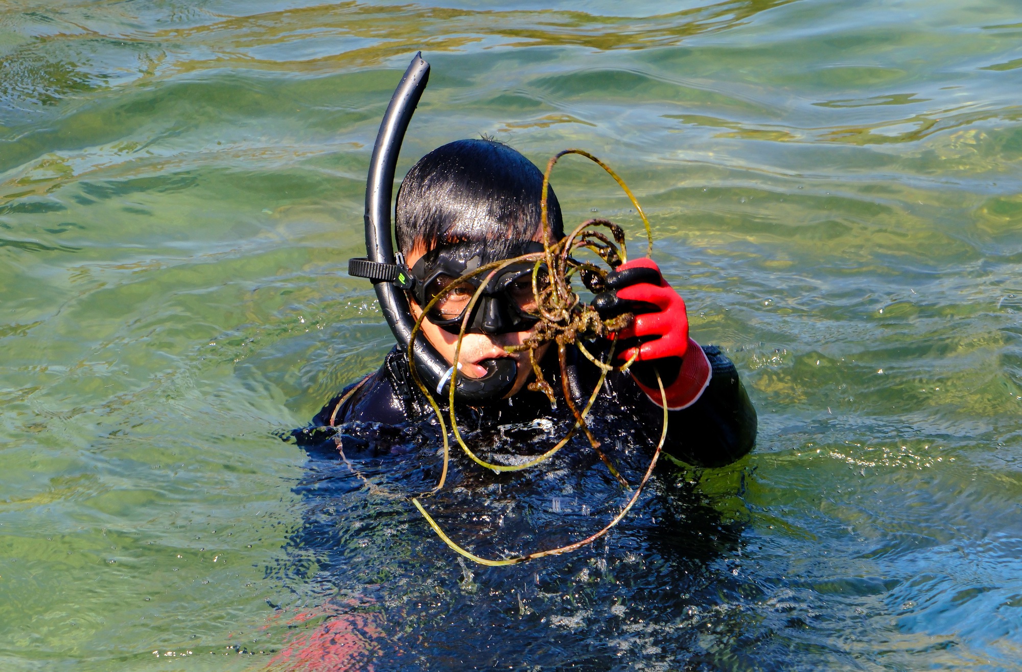 Chuyện những chiếc lưới "ma" bức tử san hô ở Đà Nẵng và nhóm "phượt" đáy biển, giải cứu đại dương - Ảnh 19.