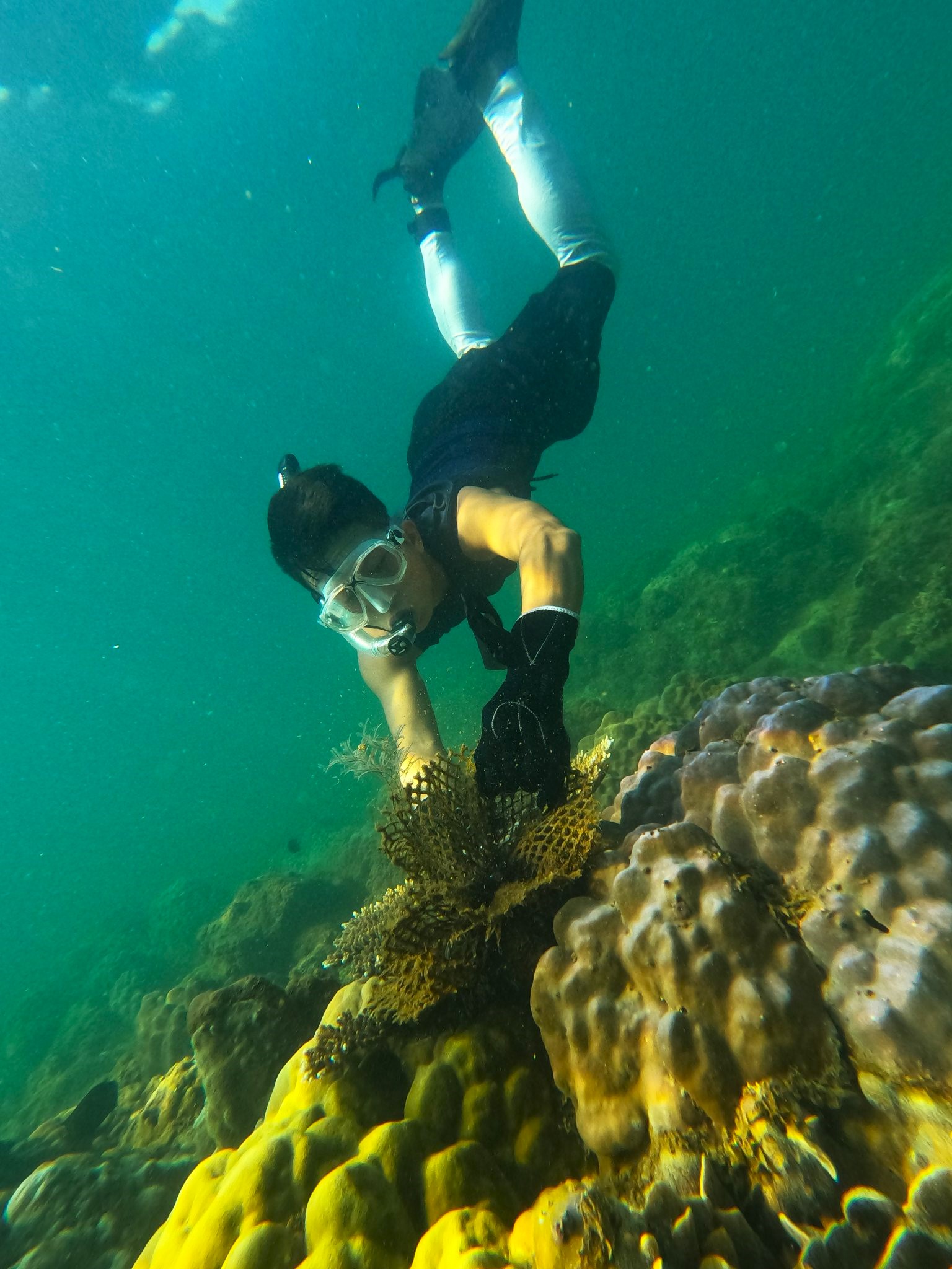 Chuyện những chiếc lưới "ma" bức tử rạn san hô ở Đà Nẵng và nhóm "phượt" đáy biển, giải cứu đại dương - Ảnh 11.