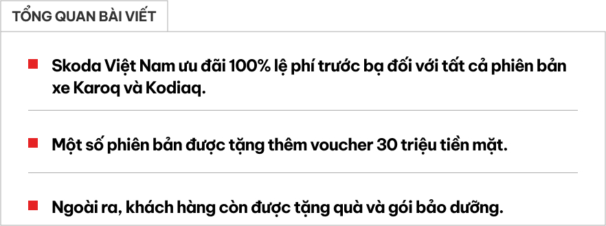 Skoda Karoq, Kodiaq giảm giá lăn bánh hơn 200 triệu, đi 3 năm không tốn tiền bảo dưỡng- Ảnh 1.