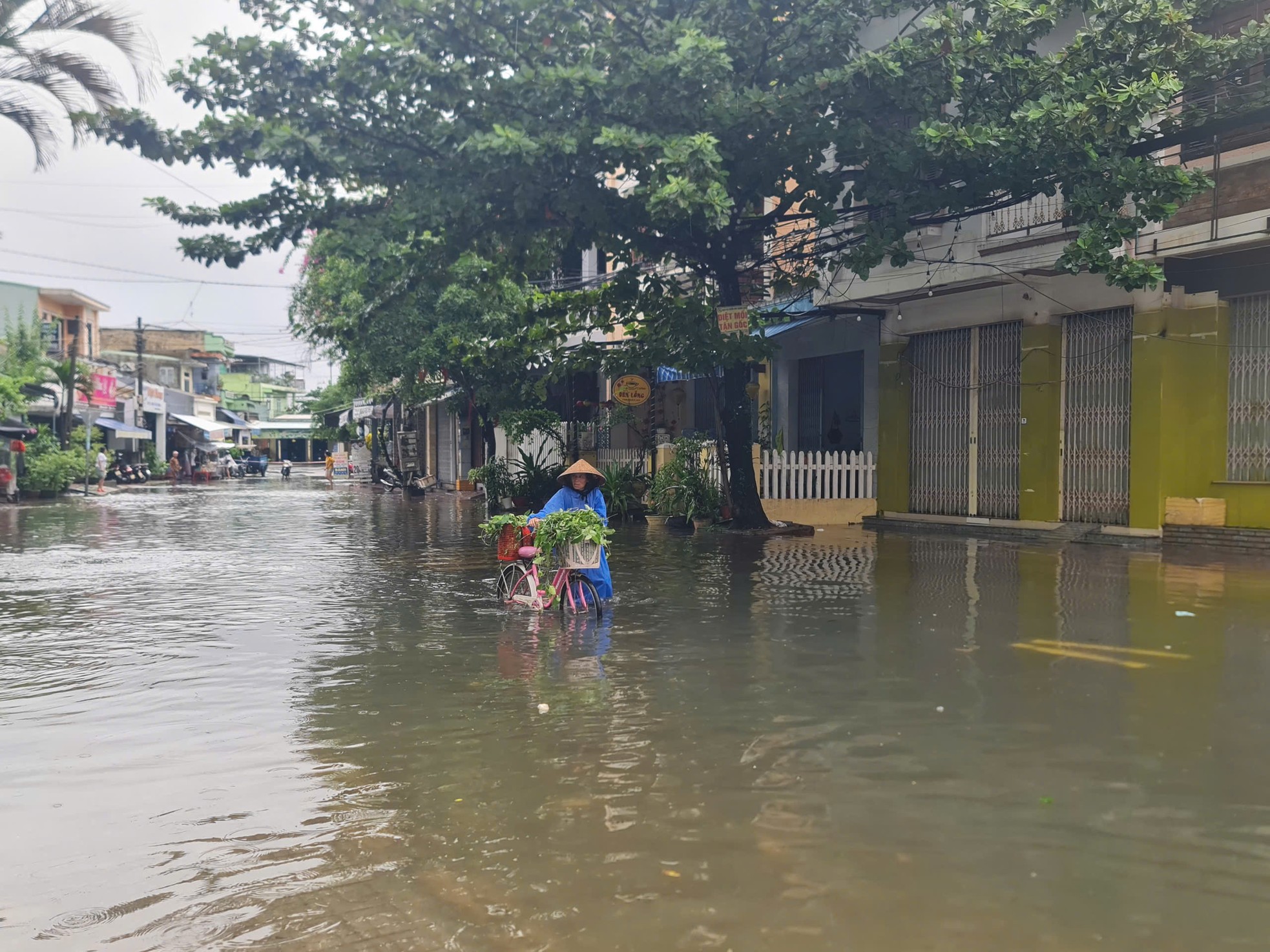 Mưa như trút ở Quảng Nam, ô tô 'chết đuối' giữa biển nước- Ảnh 2.