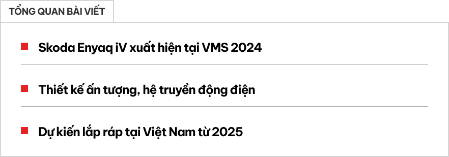 Skoda Enyaq iV lộ mặt ở Việt Nam: Ngoại thất cá tính, động cơ điện, có ADAS, chờ ngày lắp ráp trong nước- Ảnh 1.