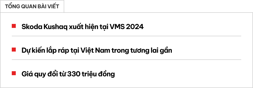 Skoda Kushaq lộ diện trước VMS 2024: Dễ mở bán ngay năm sau, nếu lắp ráp sẽ gây khó Sonet, Raize- Ảnh 1.