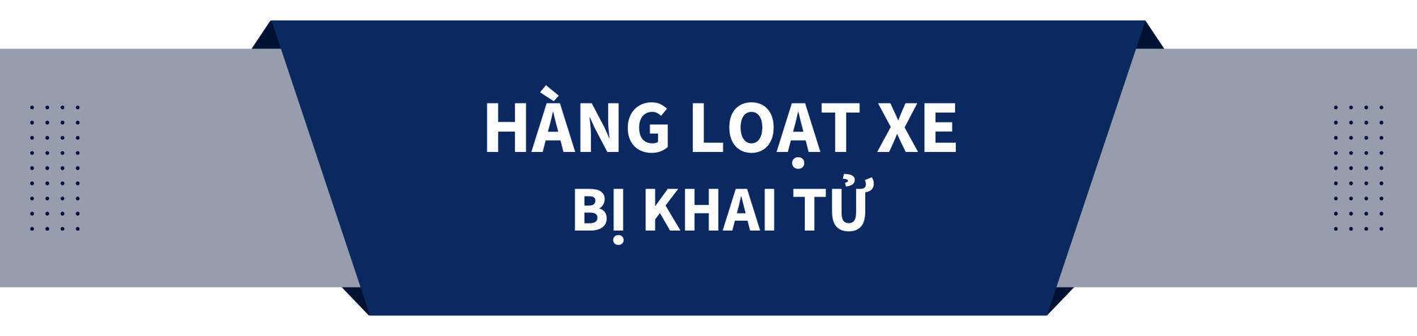 Thị trường ô tô Việt Nam: Khai tử nhiều mẫu xe, hàng Trung Quốc lấn tới- Ảnh 10.