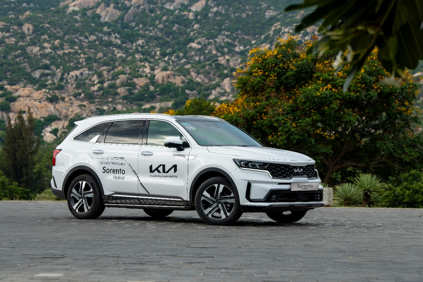 Kia tăng ưu đãi cho nhiều dòng xe trong tháng 12, cao nhất lên đến 110 triệu đồng- Ảnh 1. Kia tăng ưu đãi cho nhiều dòng xe trong tháng 12, cao nhất lên đến 110 triệu đồng- Ảnh 1.