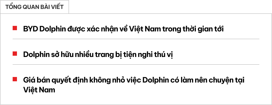 Sang tận nhà máy bên Trung Quốc để soi BYD Dolphin sắp về Việt Nam: Nhiều đồ chơi vượt tầm phân khúc - Ảnh 1.