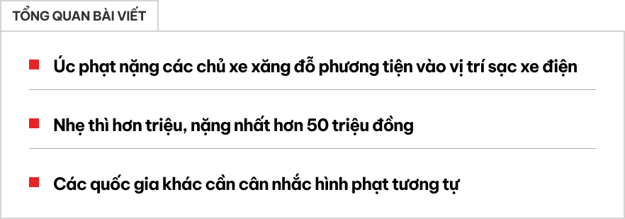 Có nên phạt nặng chủ xe xăng đỗ vào chỗ sạc xe điện? - Ảnh 1.