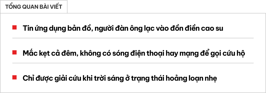 Nghe theo ứng dụng bản đồ, người đàn ông đi lạc vào đồn điền cả đêm, bị thú săn mồi truy đuổi - Ảnh 1.