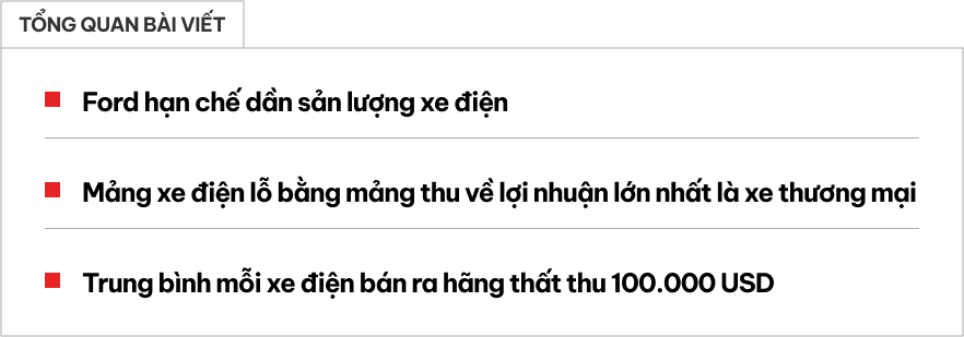 Ford chịu lỗ lớn khi làm xe điện: Mỗi chiếc lỗ trung bình hơn 2,5 tỷ đồng, toàn bộ lợi nhuận chỉ đủ gánh một phân nhánh- Ảnh 1.