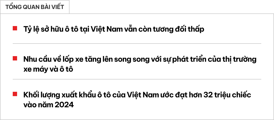 Nghiên cứu này cho thấy Việt Nam đang thừa quá nhiều lốp ô tô, trong năm nay có thể xuất 32 triệu chiếc- Ảnh 1.