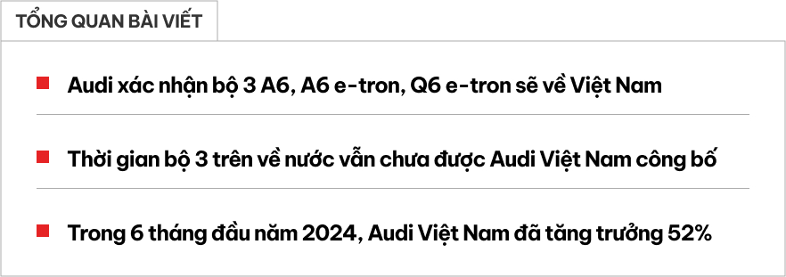 Audi sắp ra mắt 3 xe mới tại Việt Nam: Phần lớn là xe điện, có mẫu có thể chạy đến 700km/sạc- Ảnh 1.