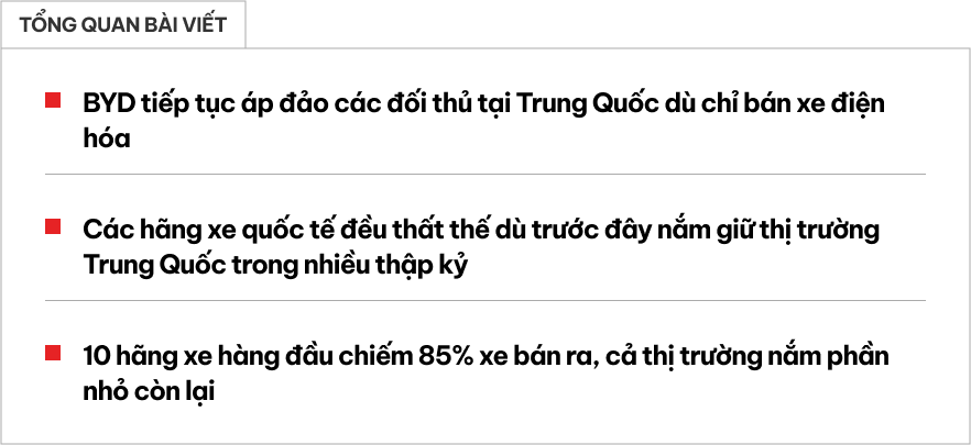 Chỉ có xe điện nhưng hãng xe sắp bán tại Việt Nam này vẫn đứng đầu thị trường lớn nhất thế giới- Ảnh 1.