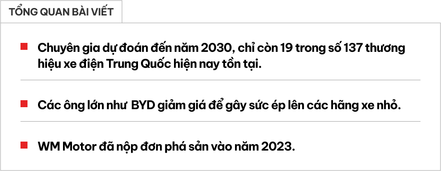 Chỉ 6 năm nữa, cứ 7 hãng xe điện Trung Quốc thì chỉ có 1 hãng sống sót!- Ảnh 1.