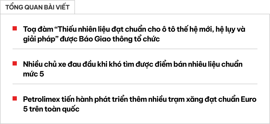 ‘Đau đầu’ tìm xăng dầu đạt chuẩn cho ô tô đời mới, chuyên gia cho biết: ‘Xử lý được, nhưng phụ thuộc nhu cầu người dùng’- Ảnh 1.