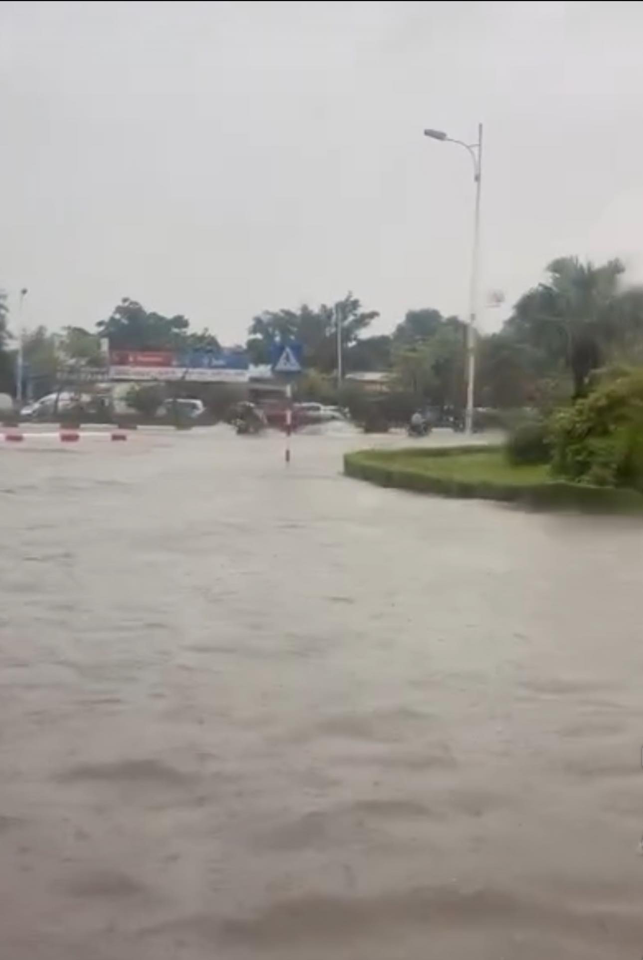 Lũ trên sông Hồng tại Hà Nội đã đạt đỉnh và ngừng dâng, dưới báo động 3- Ảnh 20.