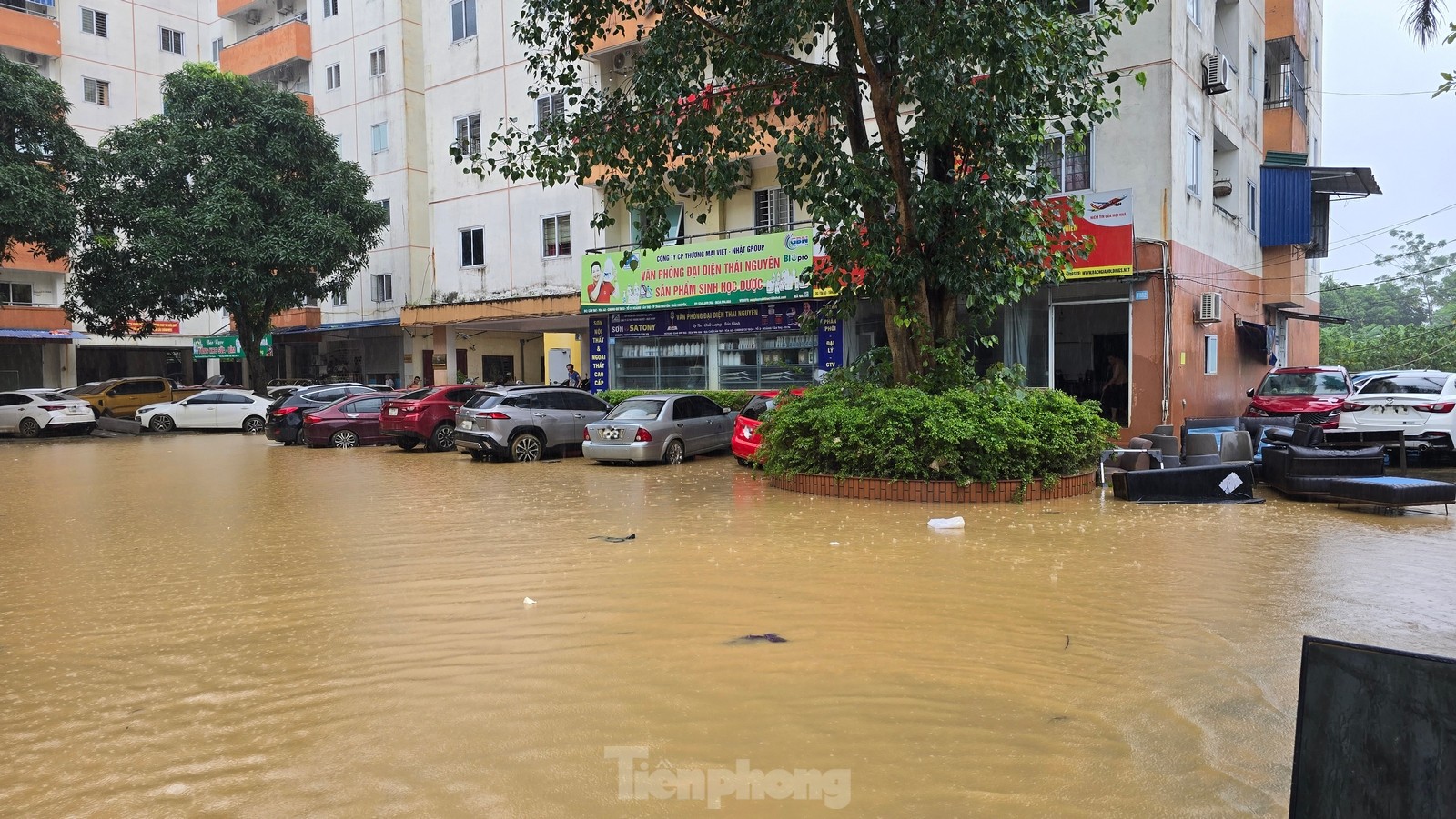 Nhiều tài sản bạc tỷ 'trồi lên' khi lũ rút ở Thái Nguyên- Ảnh 11.