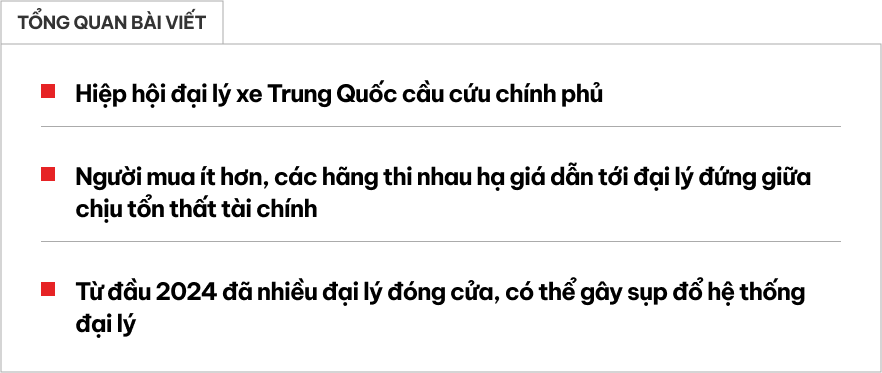 Hệ thống đại lý xe điện Trung Quốc cầu cứu chính phủ, cảnh báo nguy cơ sụp đổ toàn quốc- Ảnh 1.