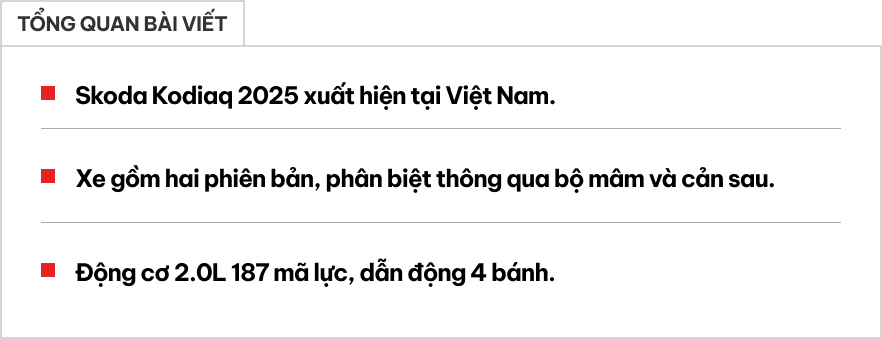 Skoda Kodiaq 2025 bất ngờ lộ ảnh tại Việt Nam: Cạnh tranh Santa Fe bằng máy xăng 2.0L mạnh 187 mã lực, có 2 phiên bản và dẫn động 2 cầu- Ảnh 1.