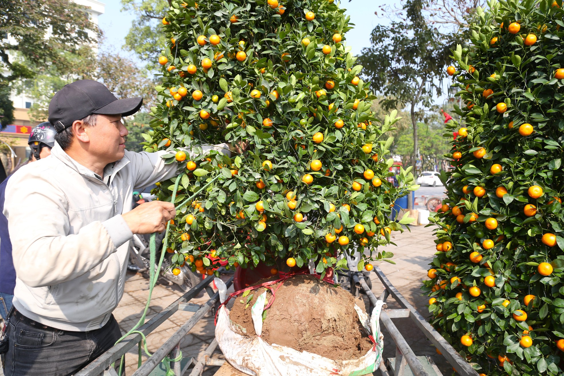Thu nhập của 'người chở mùa xuân' giảm mạnh vụ Tết- Ảnh 3. Thu nhập của 'người chở mùa xuân' giảm mạnh vụ Tết- Ảnh 3.