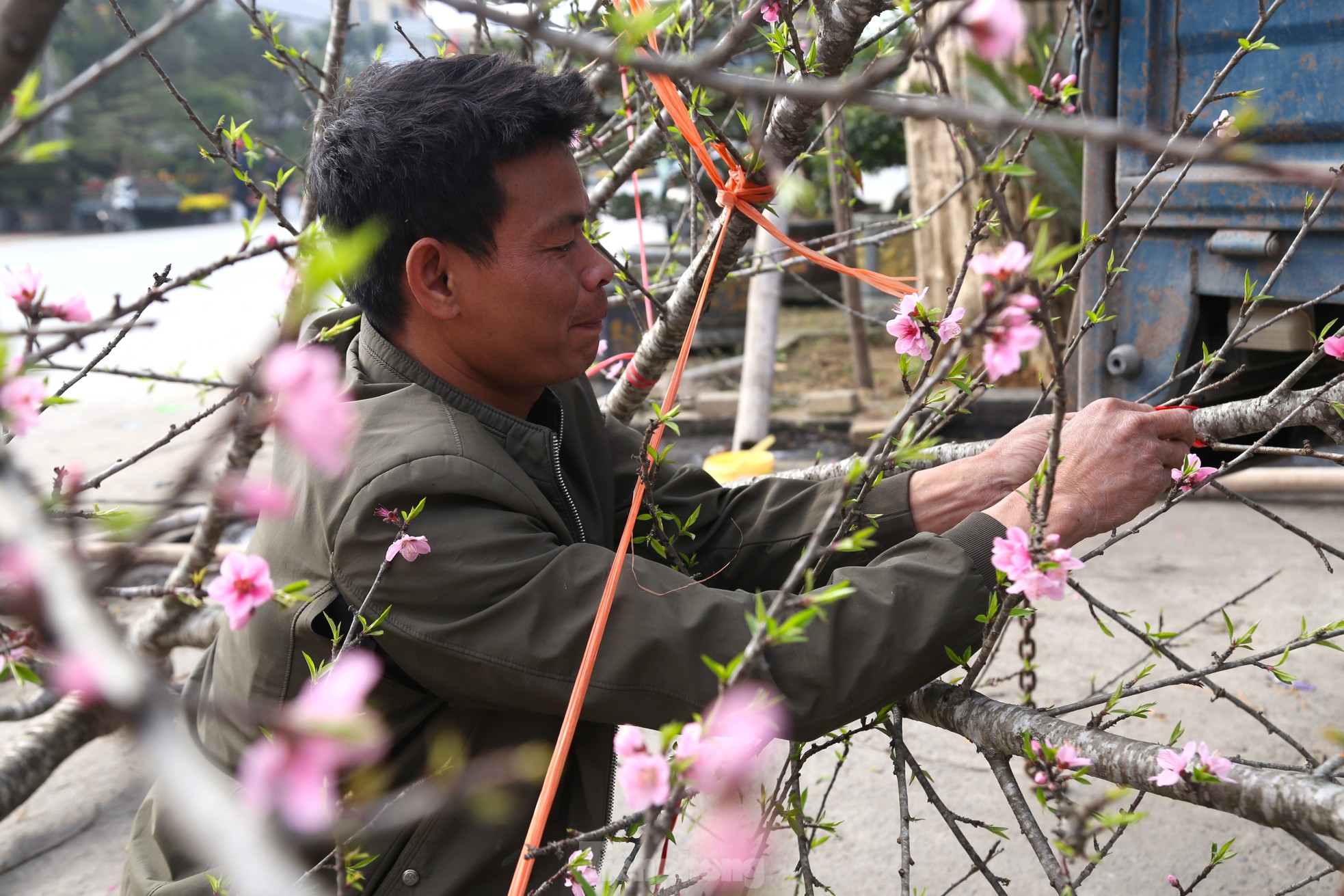 Thu nhập của 'người chở mùa xuân' giảm mạnh vụ Tết- Ảnh 8. Thu nhập của 'người chở mùa xuân' giảm mạnh vụ Tết- Ảnh 8.