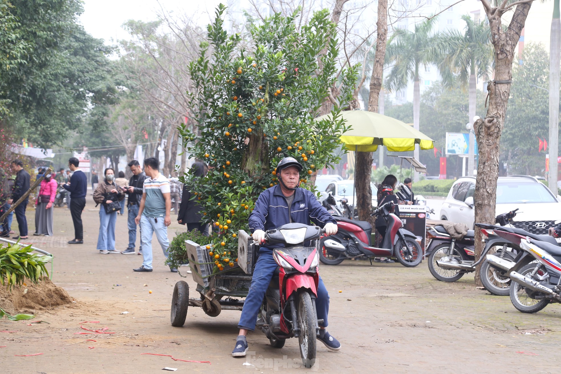 Thu nhập của 'người chở mùa xuân' giảm mạnh vụ Tết- Ảnh 11. Thu nhập của 'người chở mùa xuân' giảm mạnh vụ Tết- Ảnh 11.
