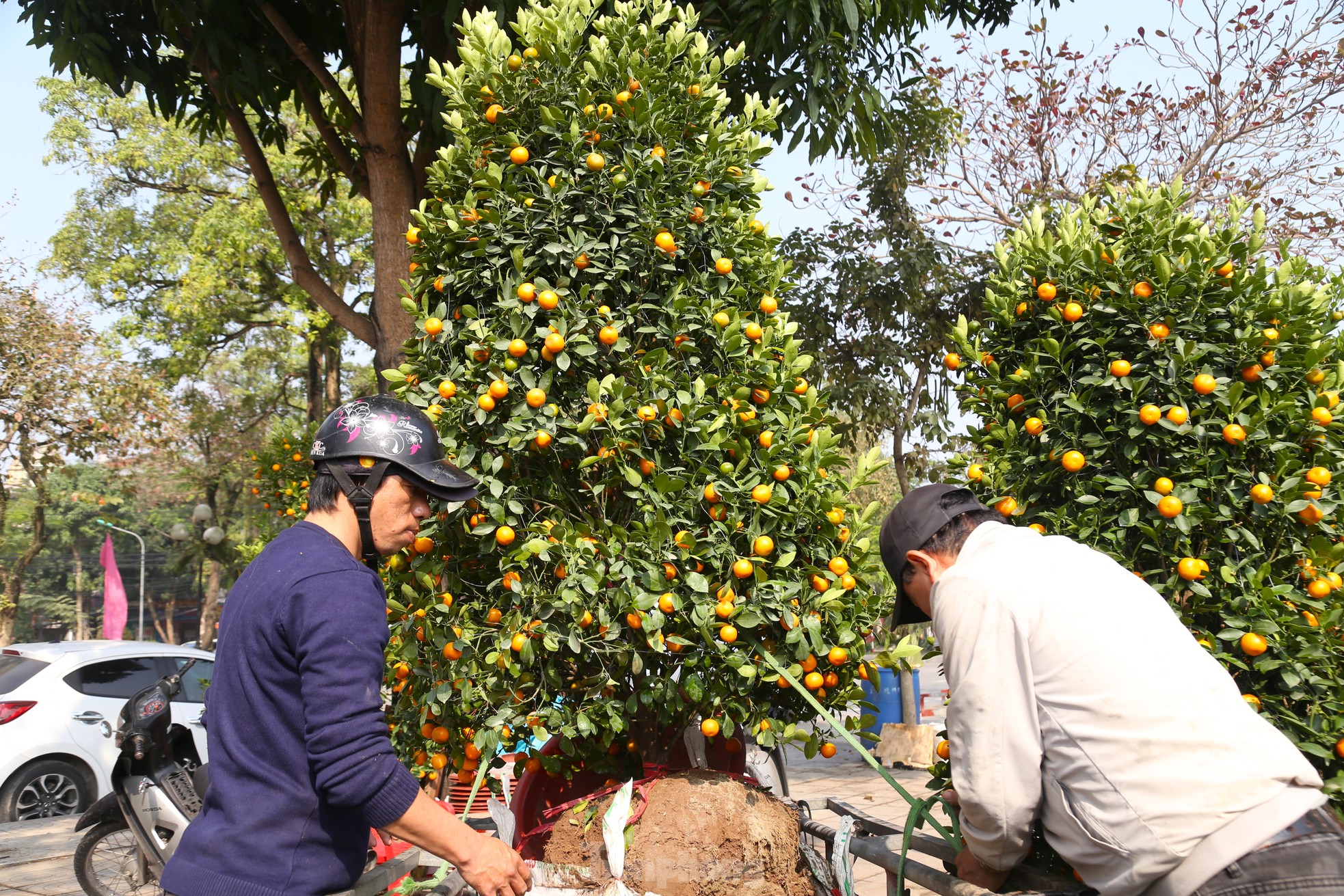Thu nhập của 'người chở mùa xuân' giảm mạnh vụ Tết- Ảnh 4. Thu nhập của 'người chở mùa xuân' giảm mạnh vụ Tết- Ảnh 4.