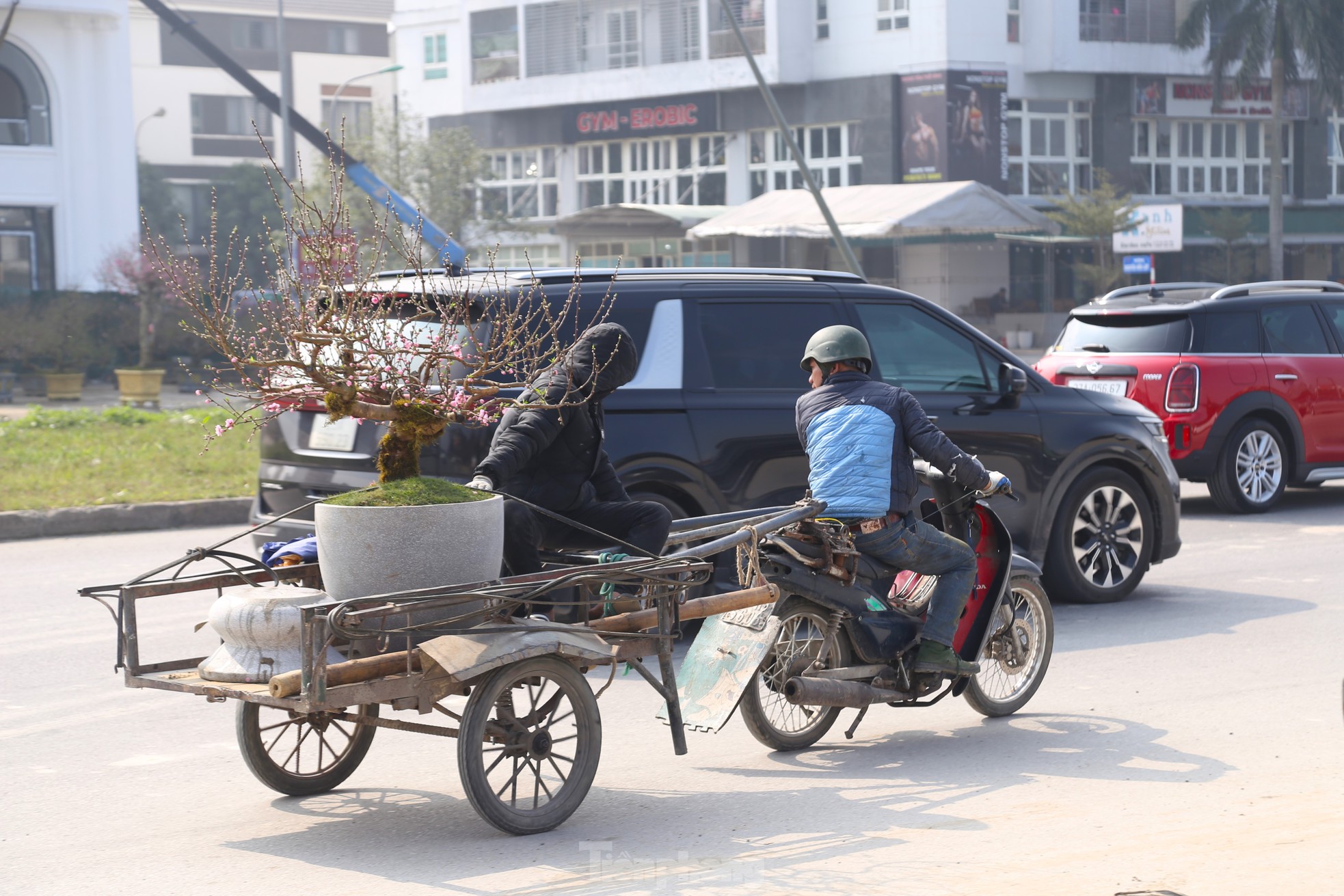 Thu nhập của 'người chở mùa xuân' giảm mạnh vụ Tết- Ảnh 12. Thu nhập của 'người chở mùa xuân' giảm mạnh vụ Tết- Ảnh 12.