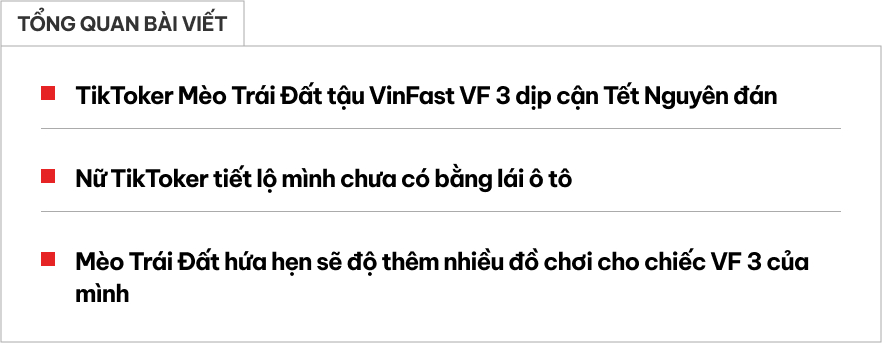 Hot TikToker Mèo Trái Đất tậu VinFast VF 3 dịp cuối năm: 'Mê từ lần đầu ngồi thử, sẽ độ thêm cho bằng bạn bằng bè'- Ảnh 1. Hot TikToker Mèo Trái Đất tậu VinFast VF 3 dịp cuối năm: 'Mê từ lần đầu ngồi thử, sẽ độ thêm cho bằng bạn bằng bè'- Ảnh 1.